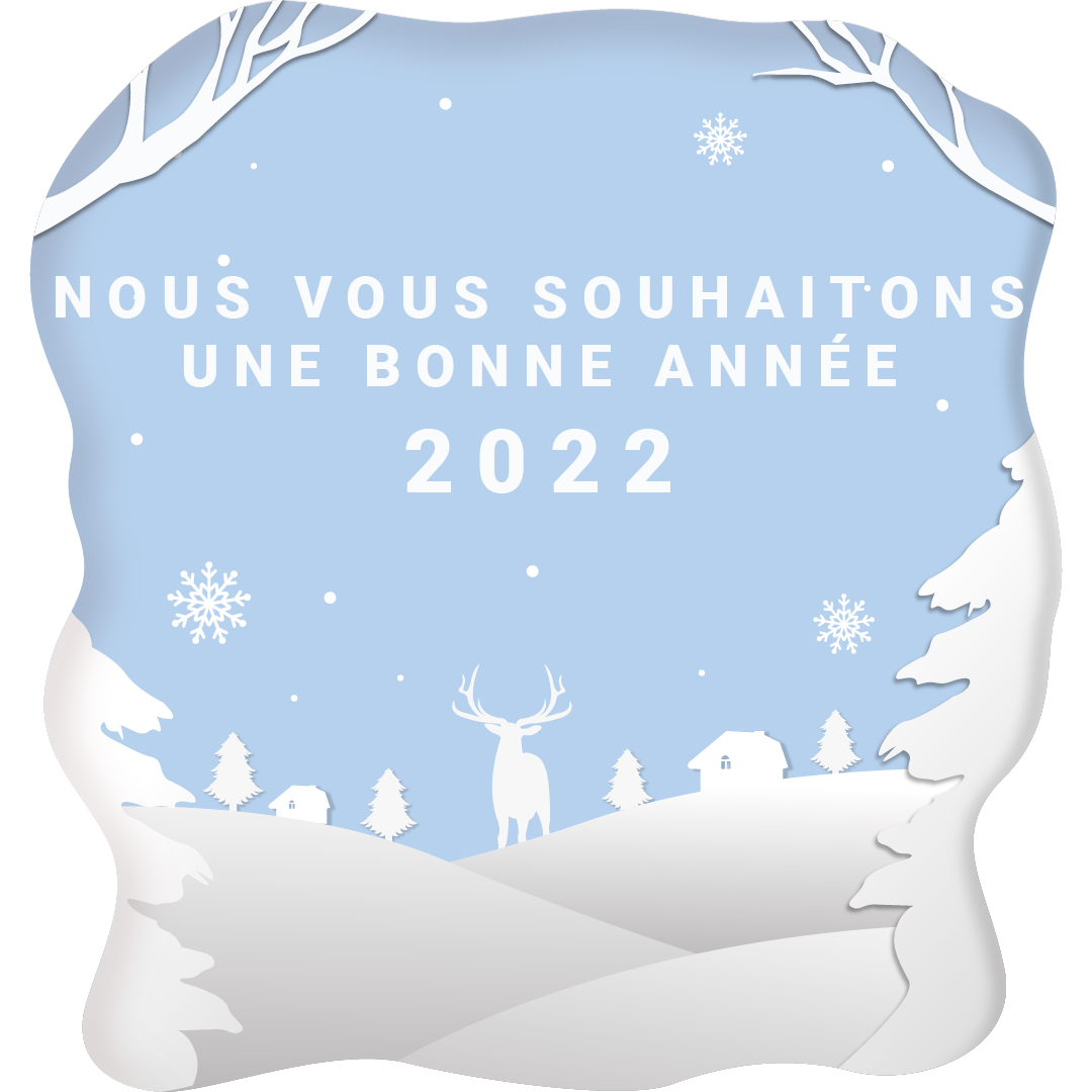 Bonne année 2022