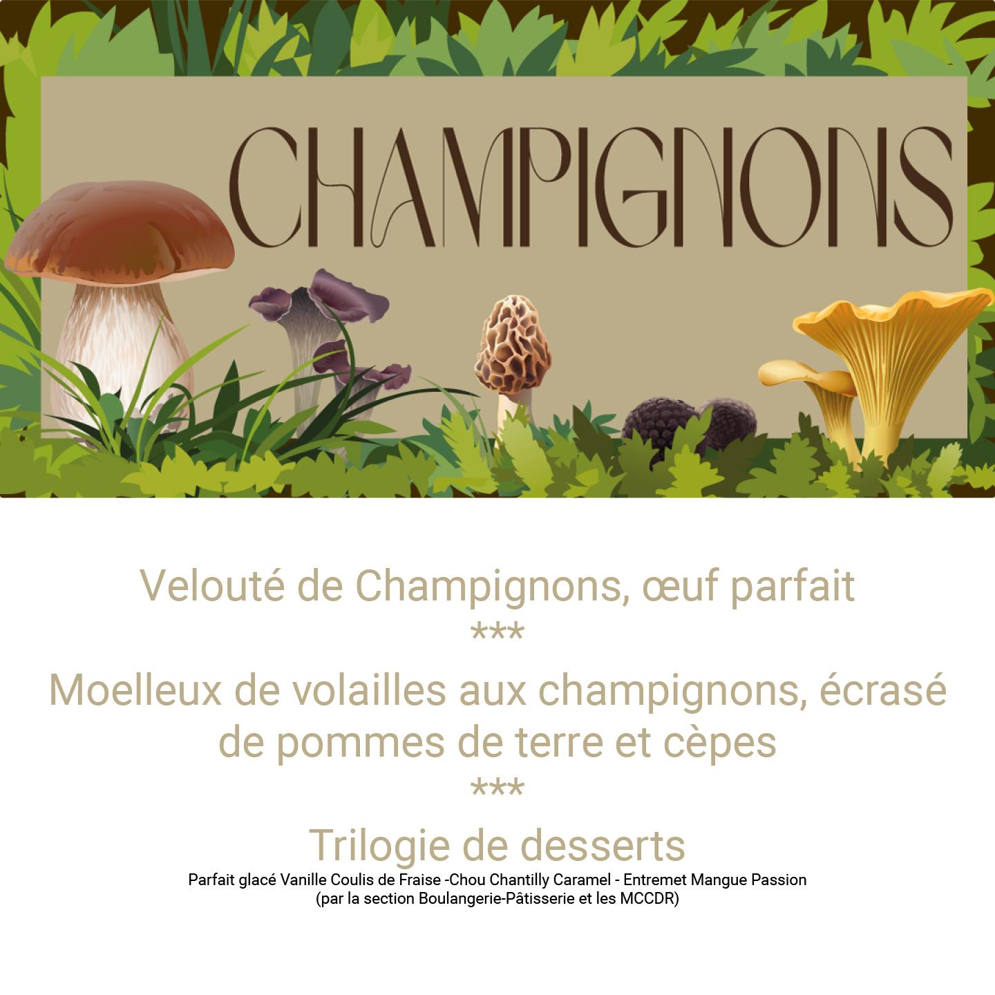 Voir en ligne