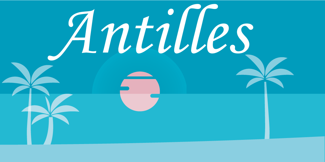 Voir en ligne
